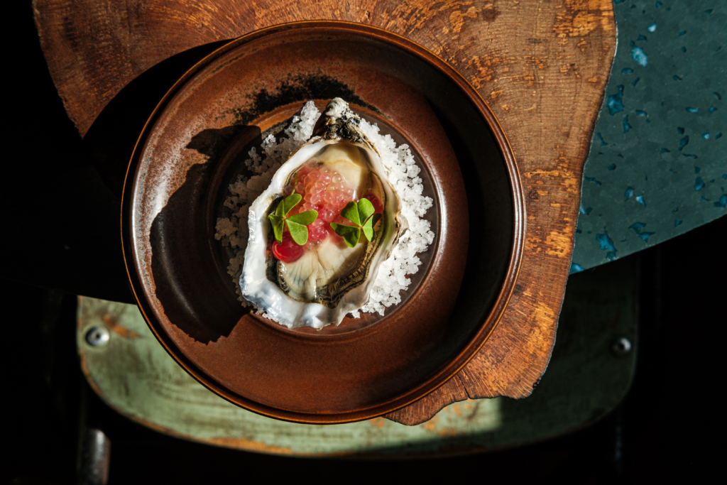 Elegant casual fine dining oyster on coarse sea salt, artfully garnished with pink pearls, red berries, and green leaves, served on a rustic ceramic plate with a wooden accent.